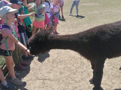 Koncem školního roku si družina užila výlety