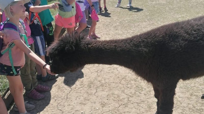 Koncem školního roku si družina užila výlety