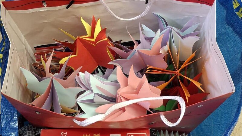 Tulipánový měsíc