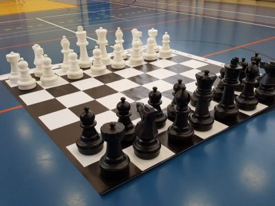 Šachy, přezdívané „hra králů“